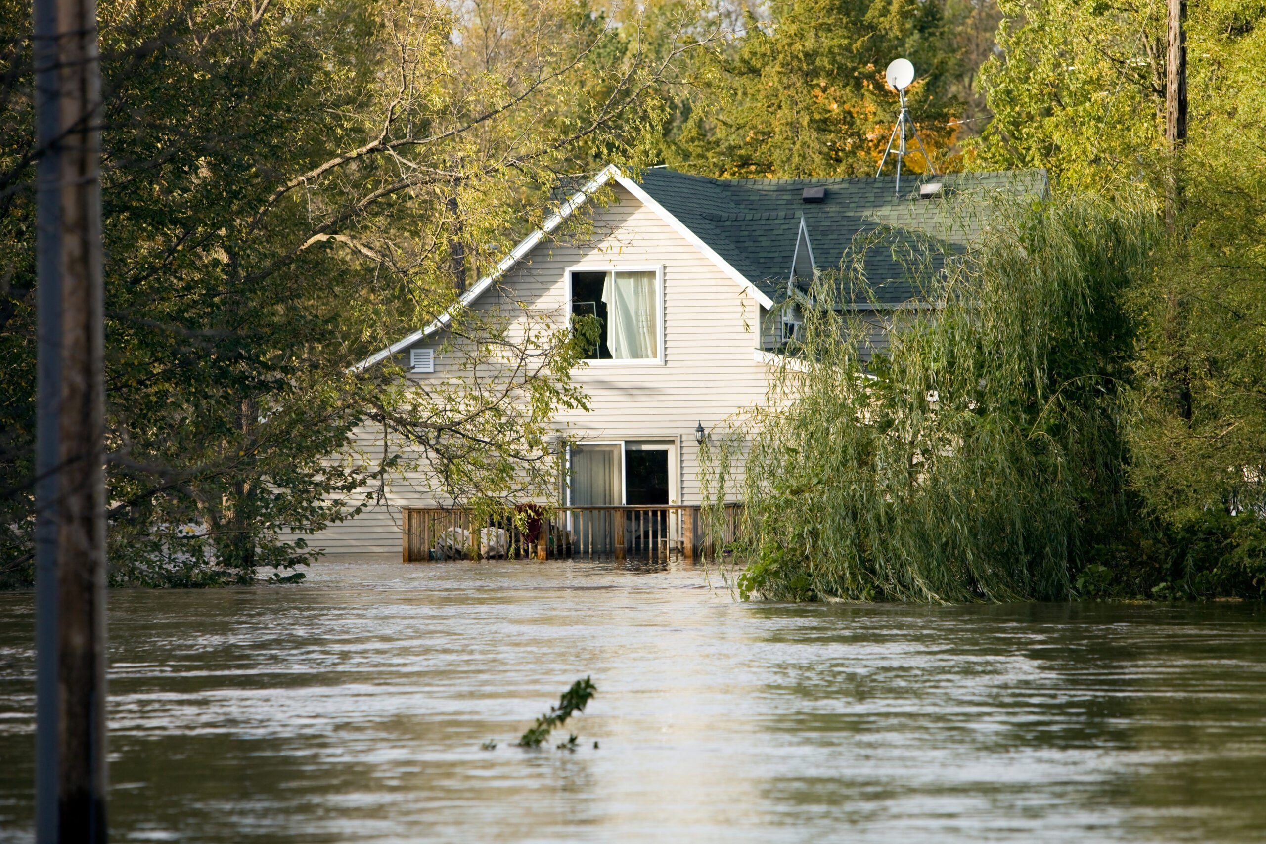 Flooded home amidst trees